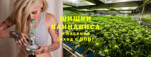 дмт Нестеровская