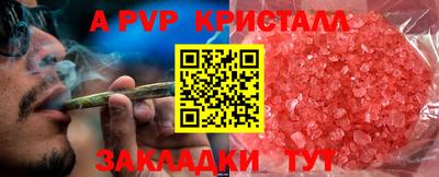 гидра Балашиха