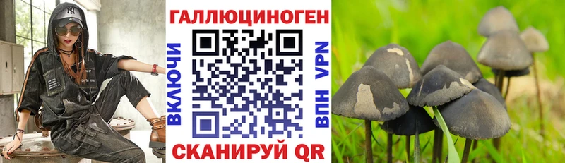 Псилоцибиновые грибы MAGIC MUSHROOMS  omg   Астрахань  купить наркоту 
