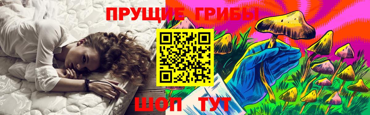 Россия  Псилоцибиновые грибы Magic Shrooms  Вход с VPN 
