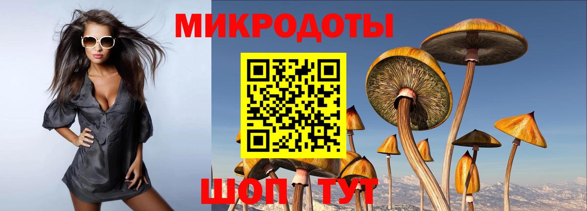Псилоцибиновые грибы прущие грибы  Вход с VPN  Галлюциногенные грибы Magic Shrooms  закладка  Россия 
